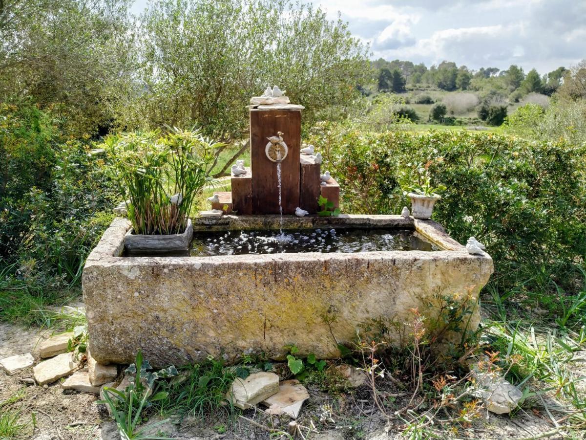Finca Salord Muro